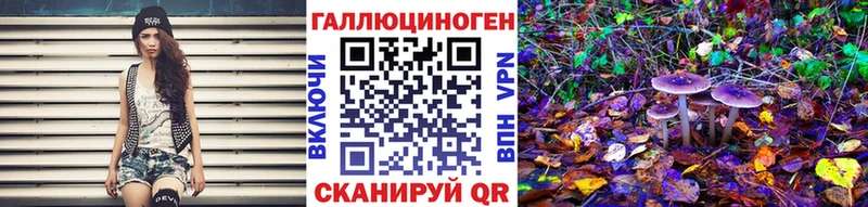 Галлюциногенные грибы Psilocybine cubensis  Купить закладки  Тбилисская 